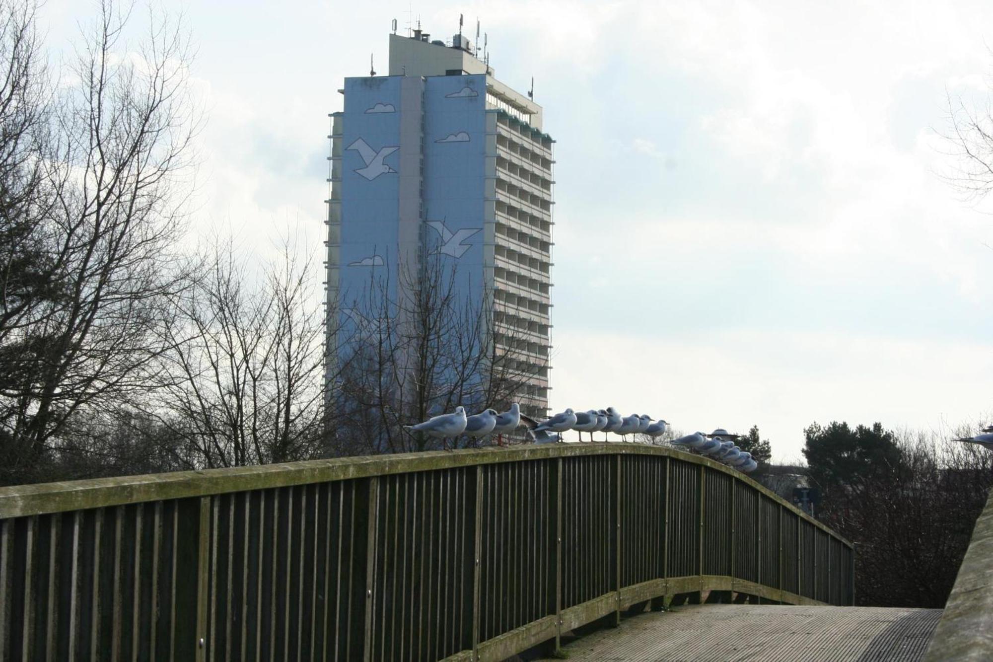 Ferienappartement K110 Fuer 2-4 Personen In Strandnaehe Brasilien Esterno foto